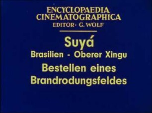 Suyá (Brasilien, Oberer Xingú) - Bestellen eines Brandrodungsfeldes