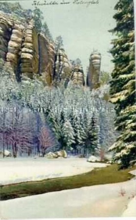 Ansicht im Elbsandsteingebirge?