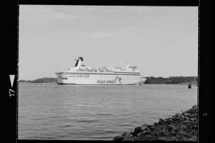 Silvia Regina