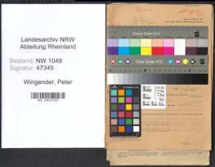 Entnazifizierung Peter Wingender , geb. 11.09.1887 (Studienrat)