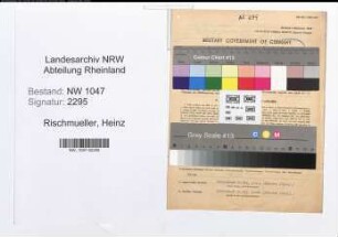 Entnazifizierung Heinz Rischmueller , geb. 14.12.1886 (Beamter)
