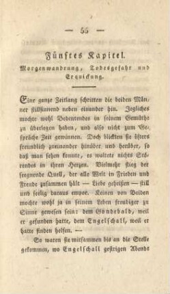 Fünftes Kapitel. Morgenwanderung, Todesgefahr und Erquickung