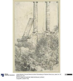 Die drei Säulen auf dem Ruinenberg in Potsdam Sanssouci