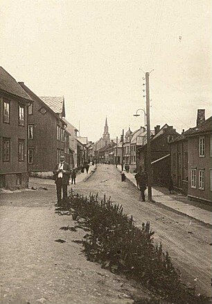 Tromsø/Norwegen. Straße mit Unkraut