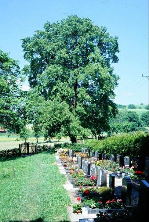 Teilansicht Friedhof