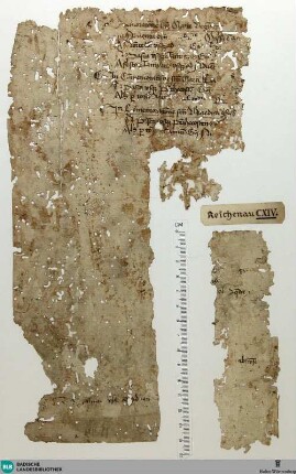 Fragment - Cod. Aug. Fr. 195