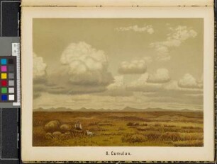 8. Cumulus.