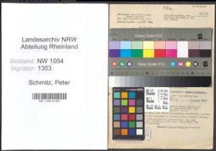 Entnazifizierung Peter Schmitz , geb. 30.11.1886 (Schulrektor)