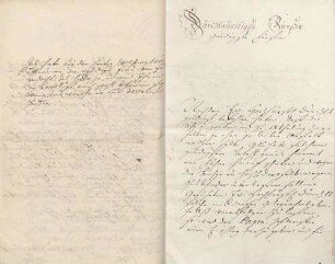 Johann Peter Job an Karoline Luise von Baden (Dornheim)