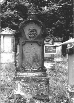 Grabstein 634 (Index: 99895281) Material: Sandstein Zustand: leicht bewachsen; Schriftplatte fehlt Maße HxBxT: 200x63x21 cm Beschreibung: Stele mit eingezogenem Rundbogenabschluss, kleiner Verdachung mit Mittelakroter; Sockel Symbolik: Rosengebinde, Bänder: Grabstein 634 (1)