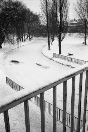 Alb im Winter