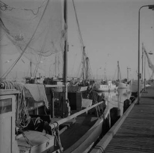 Saßnitz. Fischereihafen mit Fischerbooten