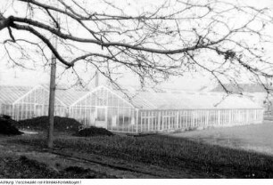 Dresden, Kaditz. Gärtnerische Produktionsgenossenschaft (GPG) Gartenbau Kaditz. Neue Gewächshäuser, 1959