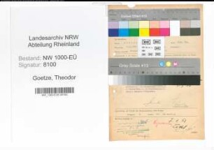 Entnazifizierung Theodor Goetze, geb. 06.11.1899 (Ingenieur)