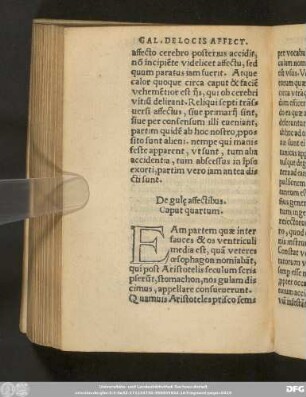 De gule affectibus. Caput quartum.