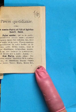 Preces quotidianae : Cum permissione Ordin. Ep. Ratisbonensis
