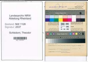Entnazifizierung Theodor Schledorn , geb. 17.01.1896 (Polizist)
