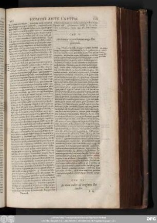 Cap. VI. An etiam mulier ad imaginem Dei condita.