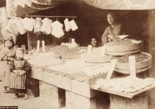 D 49. Pea Shop