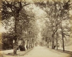 Mittelgrundstudie: Baumschlag: Allee von Eichen und Linden mit Staffagen