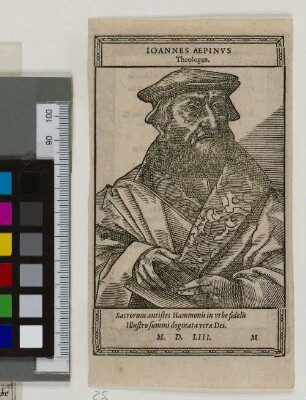 Ioannes Aepinvs Theologus