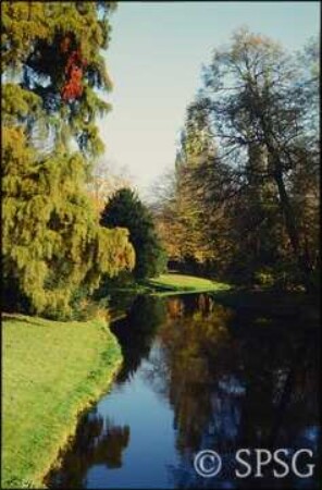 Potsdam, Park Sanssouci, Bullenwiese.