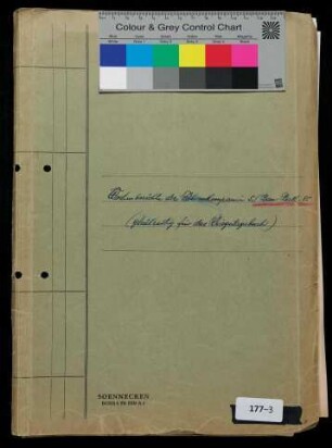 Kriegstagebuch des Fährenkommandos Hptm. Rippich vom 8.7. - 31.7. 1941 und der 5. (fähren-Kp.)/Bau-Bataillon 85 vom 29.6. 1942 - 31.1. 1943.