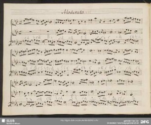 Moderato