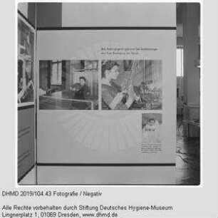 Hausausstellung - "Rehabilitation"