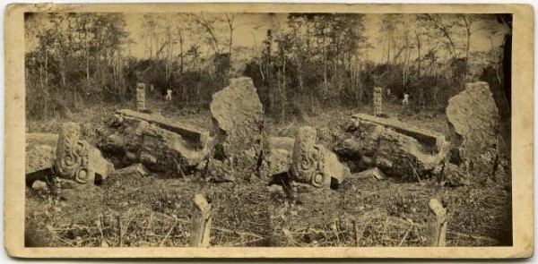 Fragments of several sculptures, including an alligator head