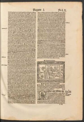 Incipit liber Samuelis primus.