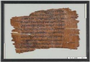 Padmapurāṇa Viṣṇunāmasahasra mit Kommentar, unvollständig