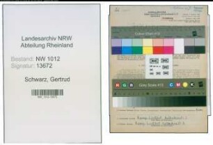 Entnazifizierung Gertrud Schwarz , geb. 20.09.1893 (Lehrerin)