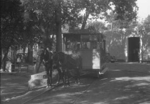 In Puerto Barrios (Lateinamerika-Aufenthalte 1934/1942 – 5. Mexiko 1937)