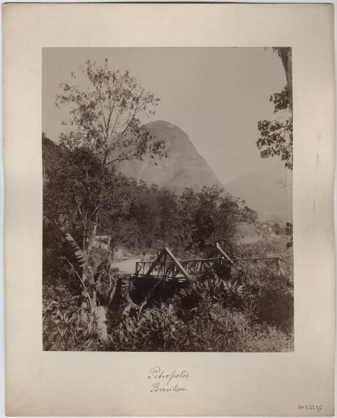 Paysage près de Petropolis