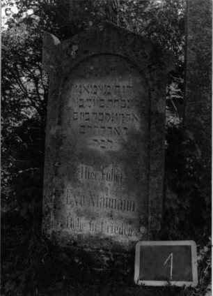 Grabstein 1 (Index: 100101069) Material: Kalkstein Zustand: leicht verwittert Maße HxBxT: 116x61x8 cm Beschreibung: Stele, giebelartiger Abschluß mit Eckakroteren, eingetieftes Schriftfeld mit Rundbogen: Grabstein 1