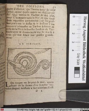 Le Serpent.