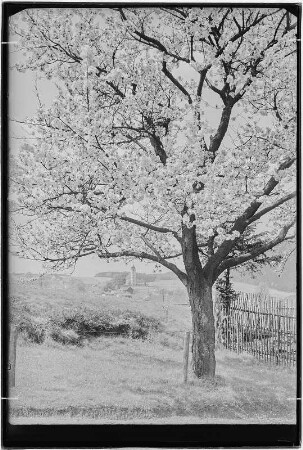 Blick auf Papstdorf im Frühling