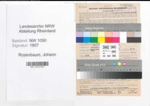 Entnazifizierung Johann Rosenbaum , geb. 15.01.1890 (Schneider)