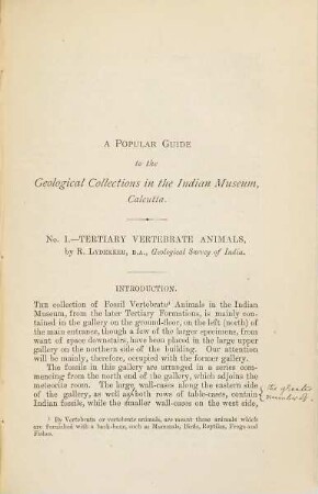 Popular Guide to the Geological Collections in the Indian Museum Calcutta : No. 1 Tertiary Vertebrate Animals by R. Lydekker