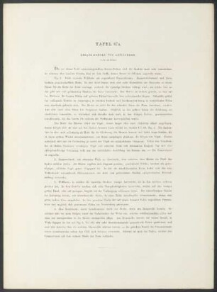 Tafel 67a. - Besatz-Borten von Gewändern.