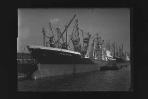 Frankfurt (1967), Hapag.- Hamburg-Amerikanische Packetfahrt-Actien-Gesellschaft, Hamburg, Hapag-Lloyd AG, Hamburg