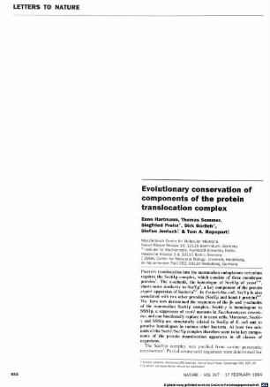 Evolutionary conservation of components of the protein translocation complex