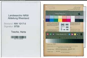 Entnazifizierung Herta Tesche , geb. 03.04.1906 (Schneiderin)
