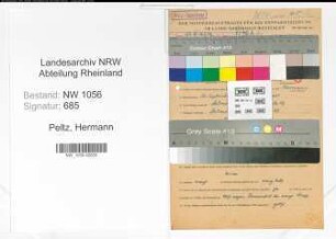 Entnazifizierung Hermann Peltz , geb. 26.09.1902 (Angestellter)