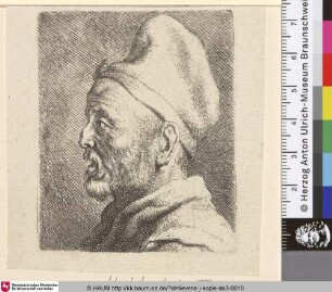 [Kopf eines alten Mannes, im Profil nach links; Head of an old man, in profile to the left]
