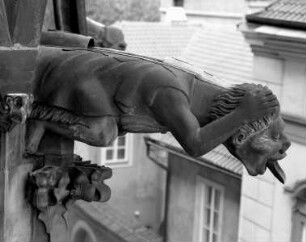 Wasserspeier: Mann