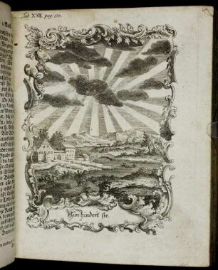 Tab. XVIII. pag: 175.