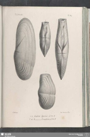 Pl. 369