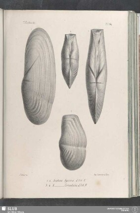 Pl. 369